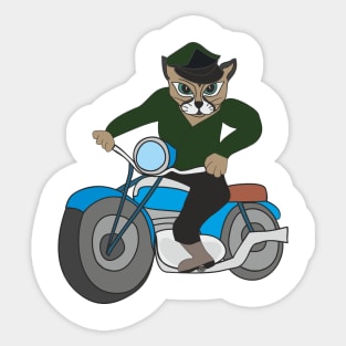 Сat on a motorcycle Sticker